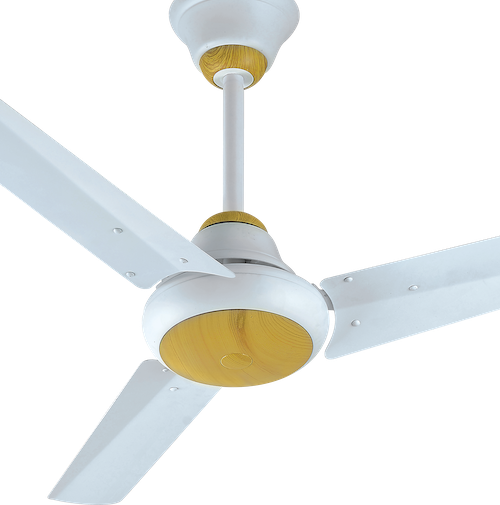 al-riaz-fans-ravi-ac-dc