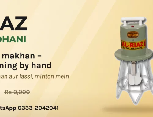 How to Make Makhan & Lassi with an Electric Madhani (Barqi Madhani Guide)